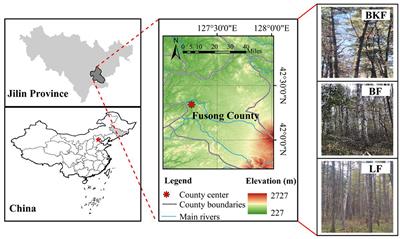Short-term effects of understory removal on understory diversity and biomass of temperate forests in northeast China